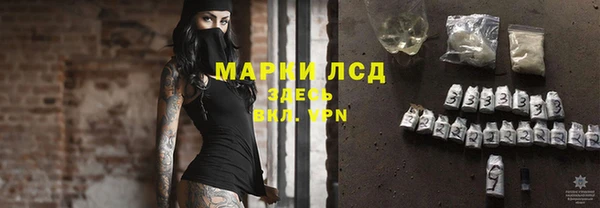 apvp Алексин