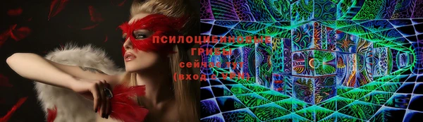 ешки Абинск